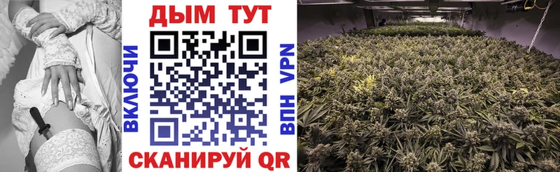 Бошки марихуана OG Kush  Купить где  Старая Купавна 
